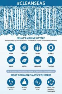 Infographic Marine Litter 11